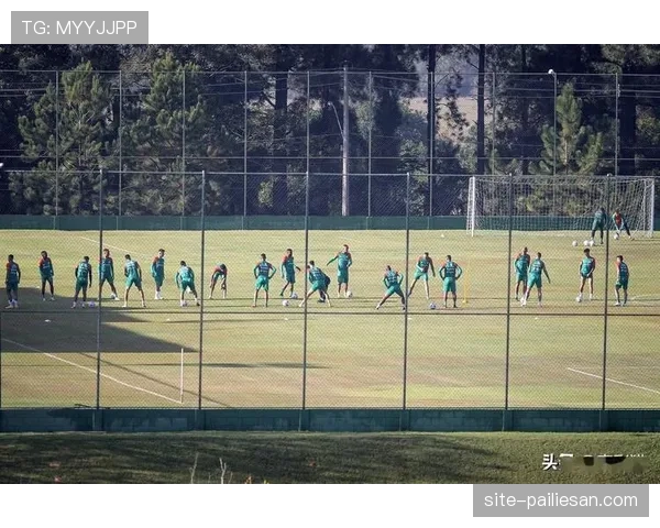 累西腓体育主场再遭败绩 保级希望愈发渺茫